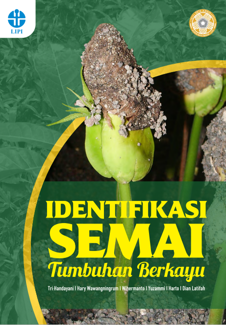 Identifikasi Semai Tumbuhan Berkayu